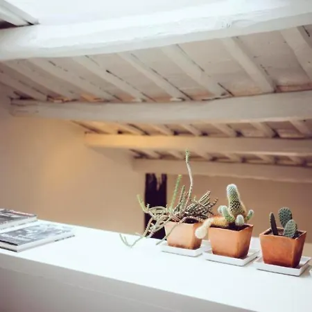 Luxury Art In Trastevere With Terrace