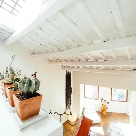 Luxury Art In Trastevere With Terrace Rom
